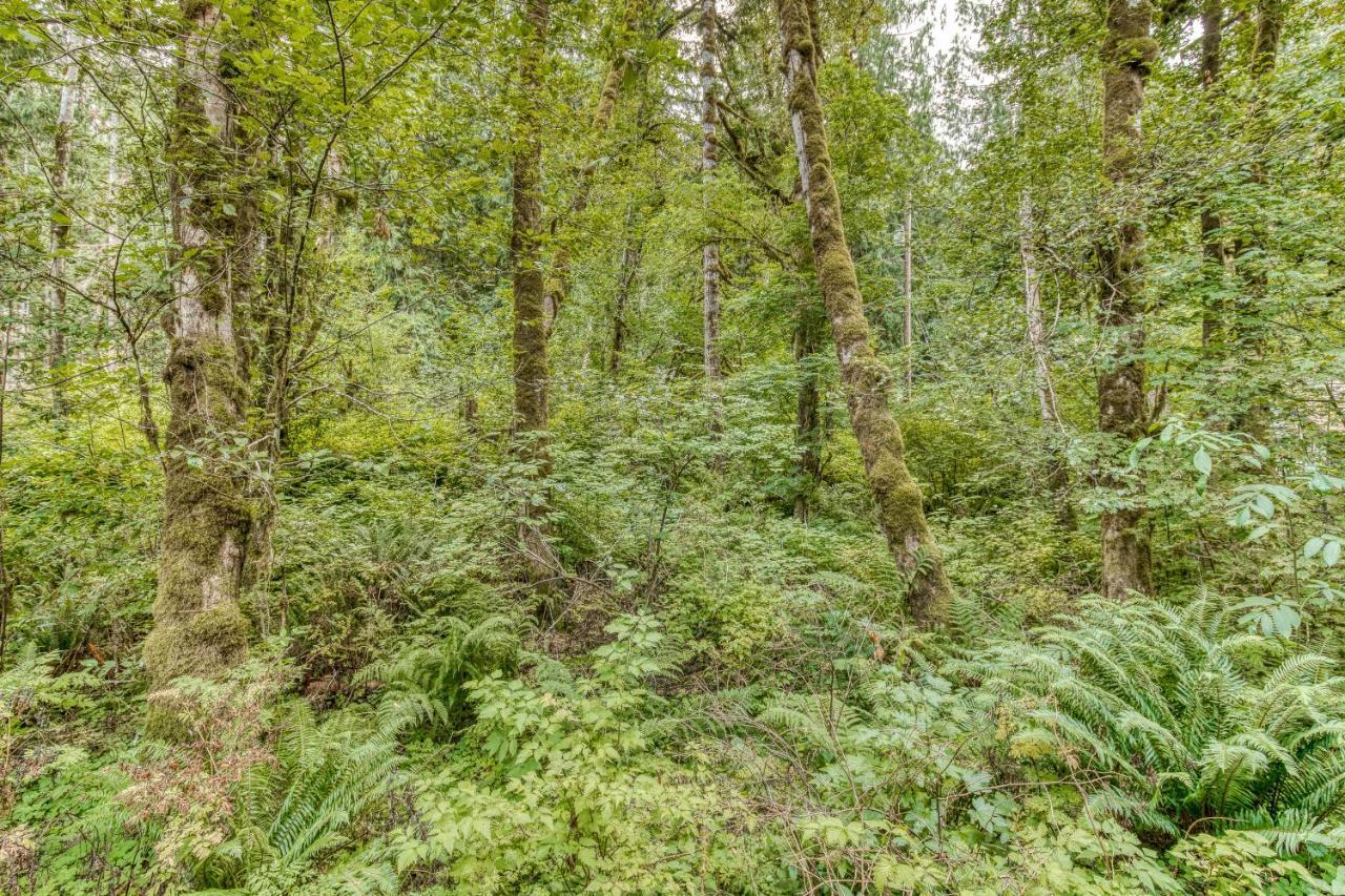 Creekside Cabin Rhododendron Luaran gambar